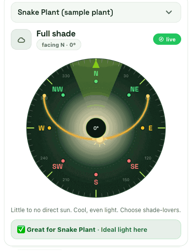 Plant Compass Lite reading the sun as you turn the phone, rating a plant from great at a north-facing window to likely to scorch at a south-facing window